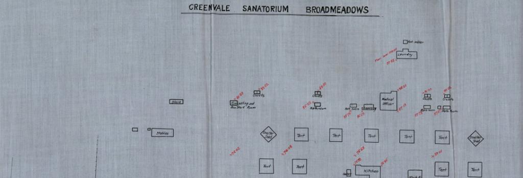 colour map of Greenvale Sanatorium
